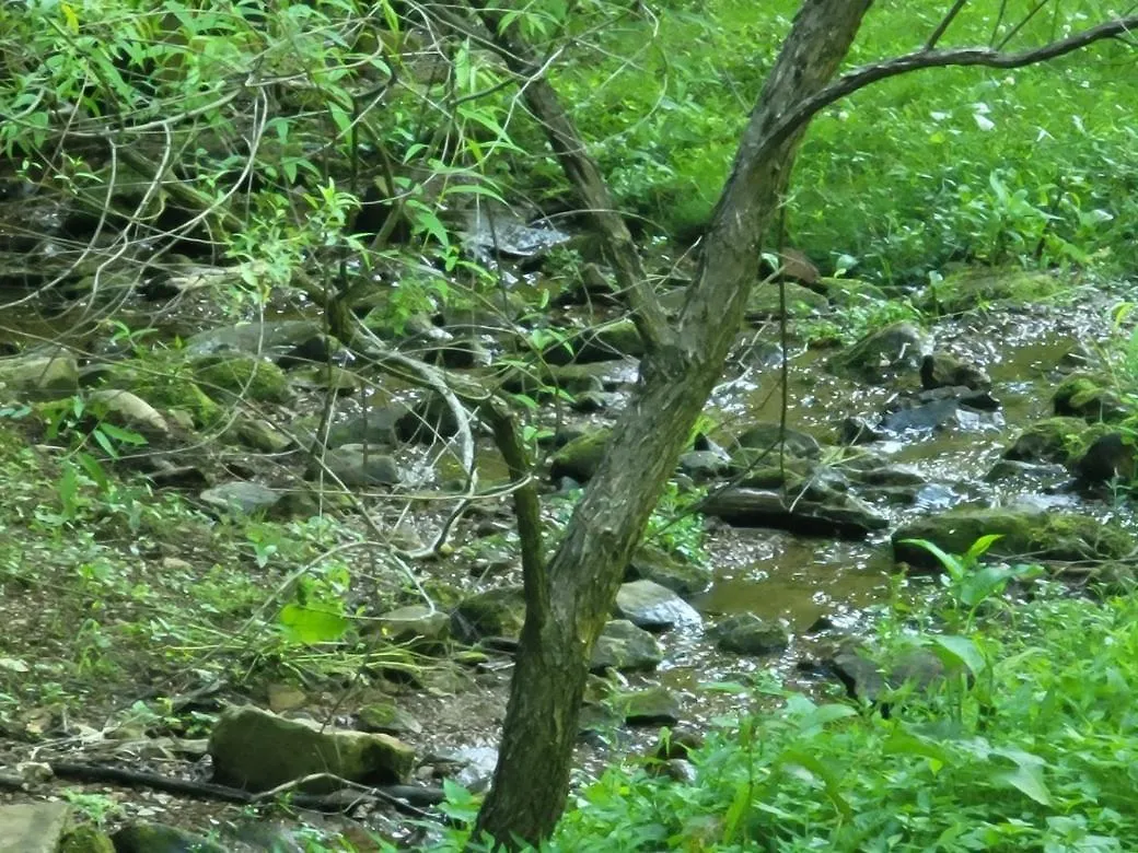 Tentrr Signature Site - Happy Hollow Hideaway Creekside Luxusní stan *