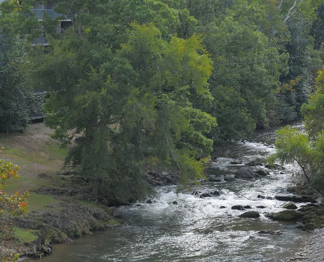 Creekstone Pigeon Forge
