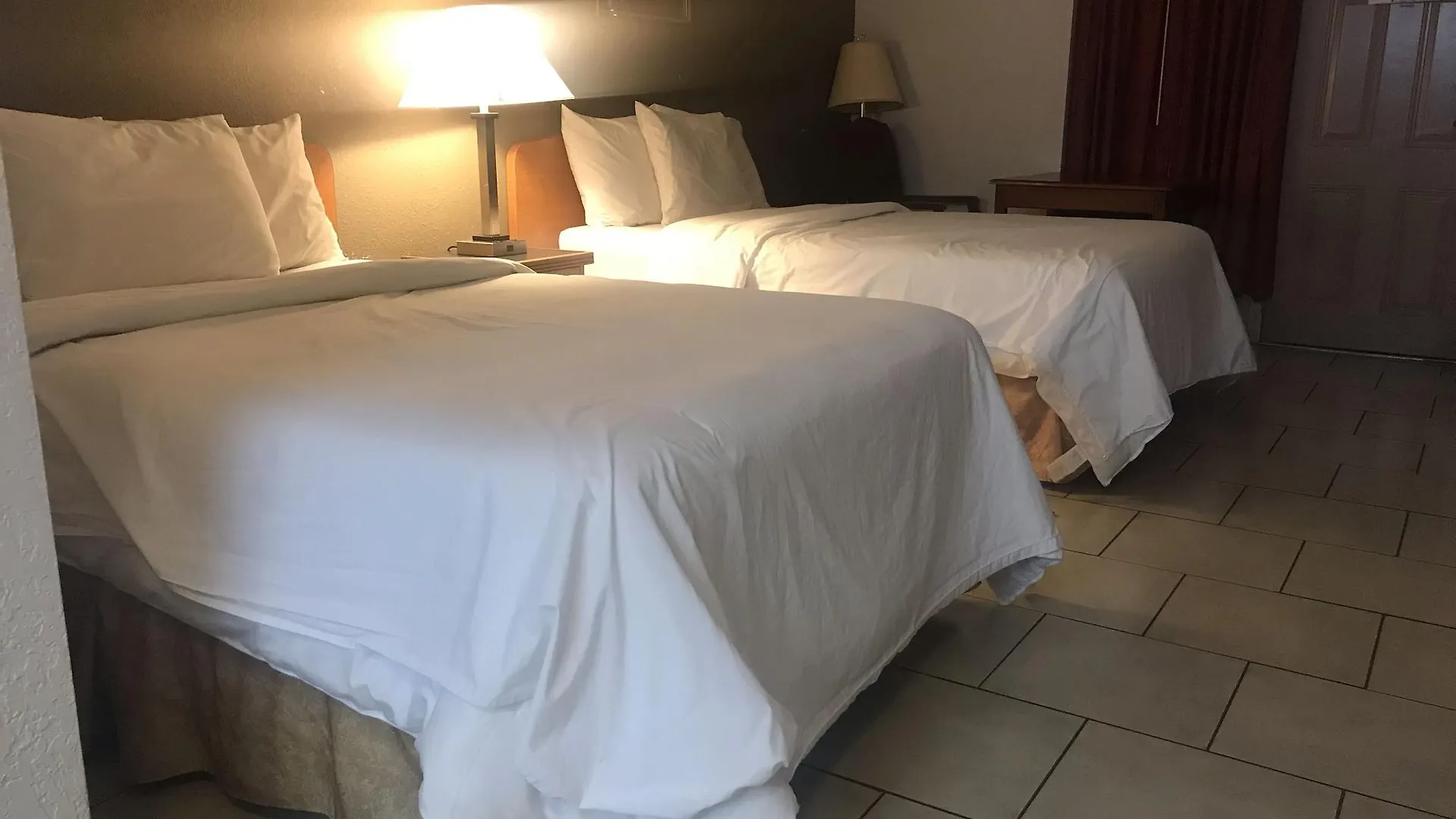 Bear Mount & 2* Pigeon Forge