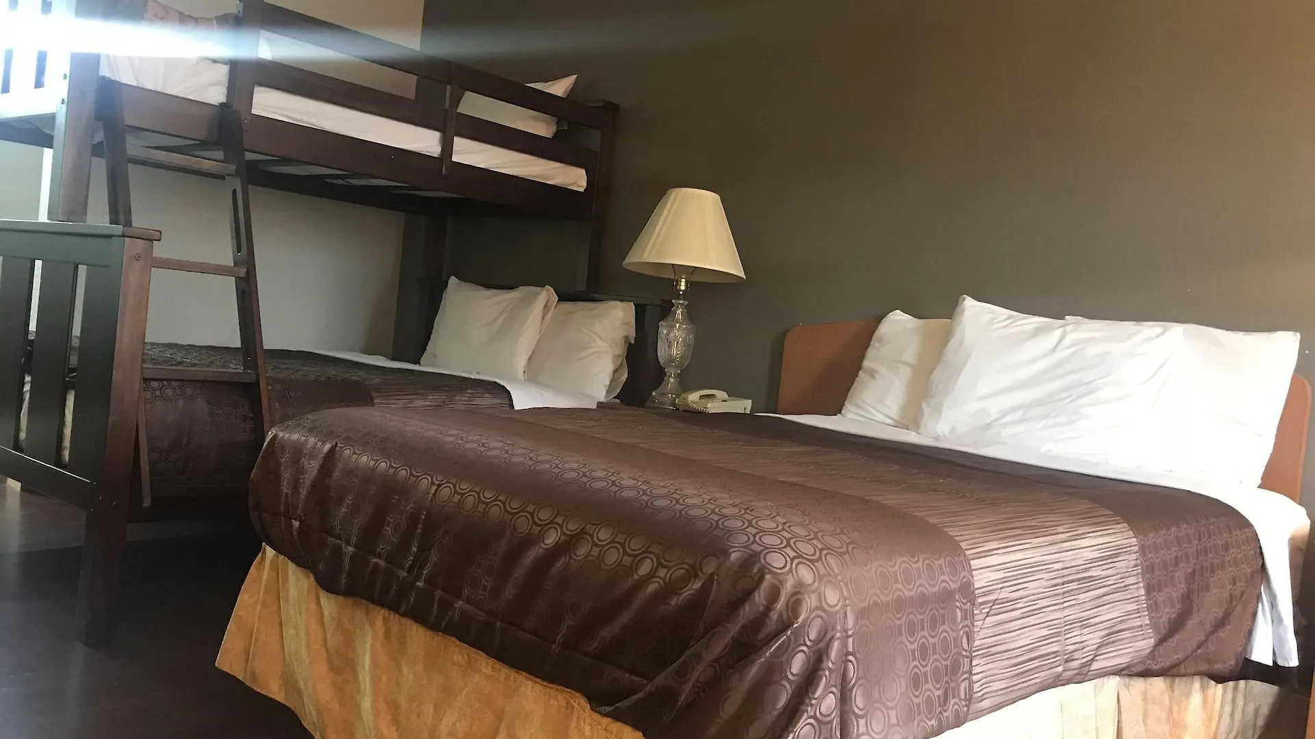Bear Mount & 2* Pigeon Forge