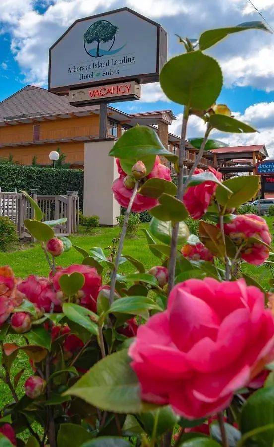 Hotel Arbors At Island Landing & Pigeon Forge