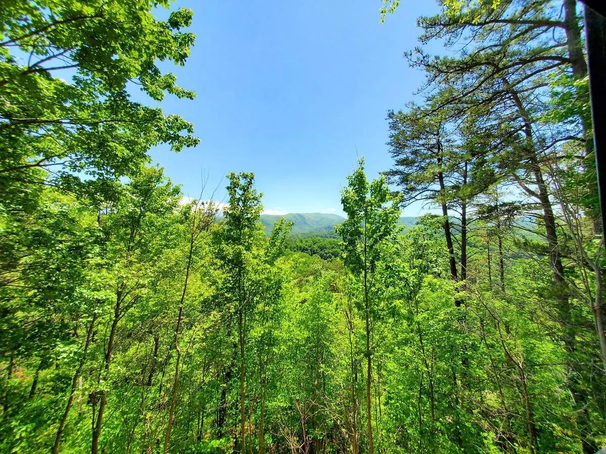 Mountain Ridge Alpehytte *
