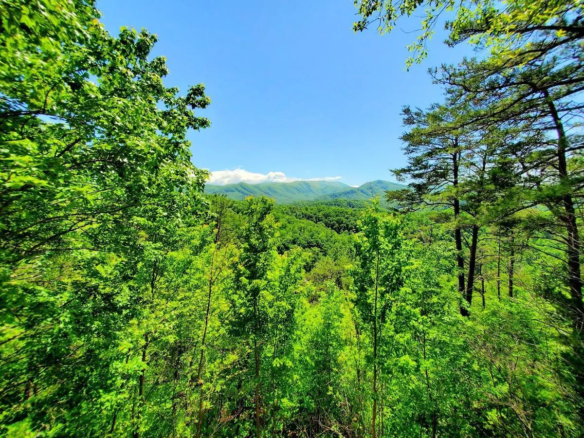 Alpehytte Mountain Ridge Pigeon Forge