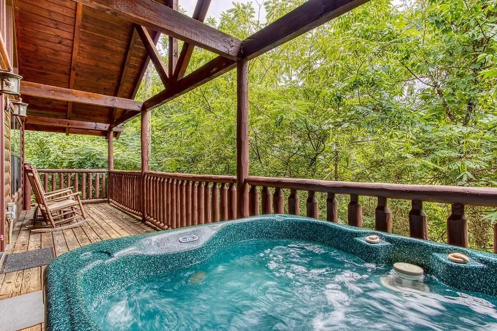 Always Kiss Me Goodnight- Hot Tub, Get 1089 Of Free Area Attraction Tickets For Each Paid Day! 비둘기 포지