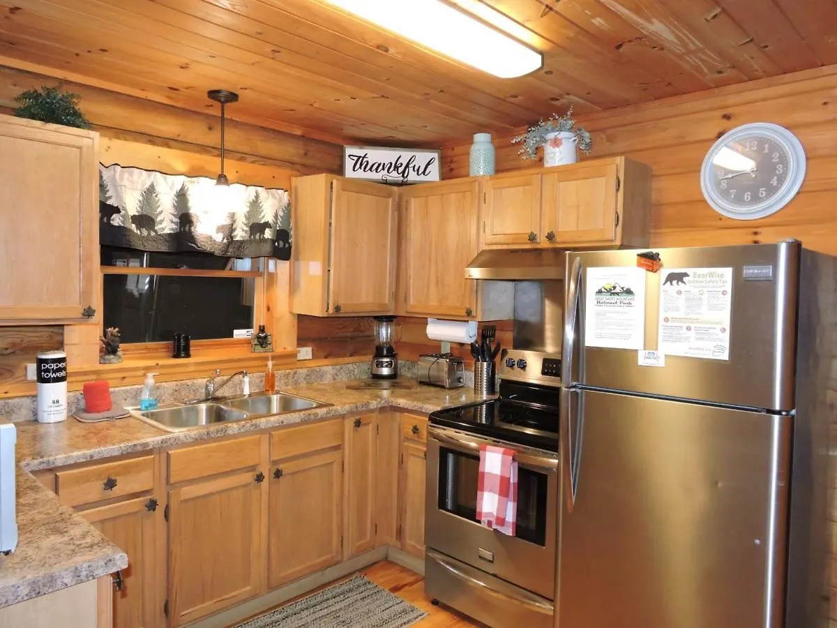 Bear Nakid Holiday home Pigeon Forge