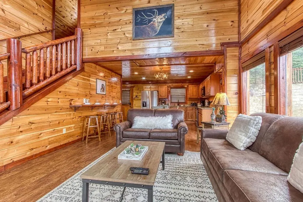 Mountain Splash, Private Pool, Theater Room, 1089 Free Tickets Each Paid Day, Dollywood And * ピジョンフォージ
