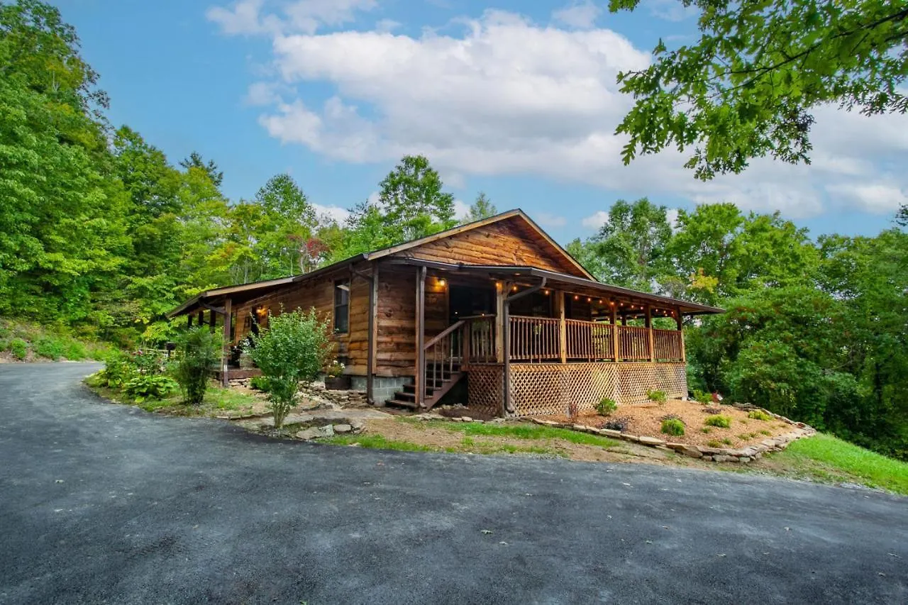 Forest Hot Tub Fire Pit Pool Table * Pigeon Forge