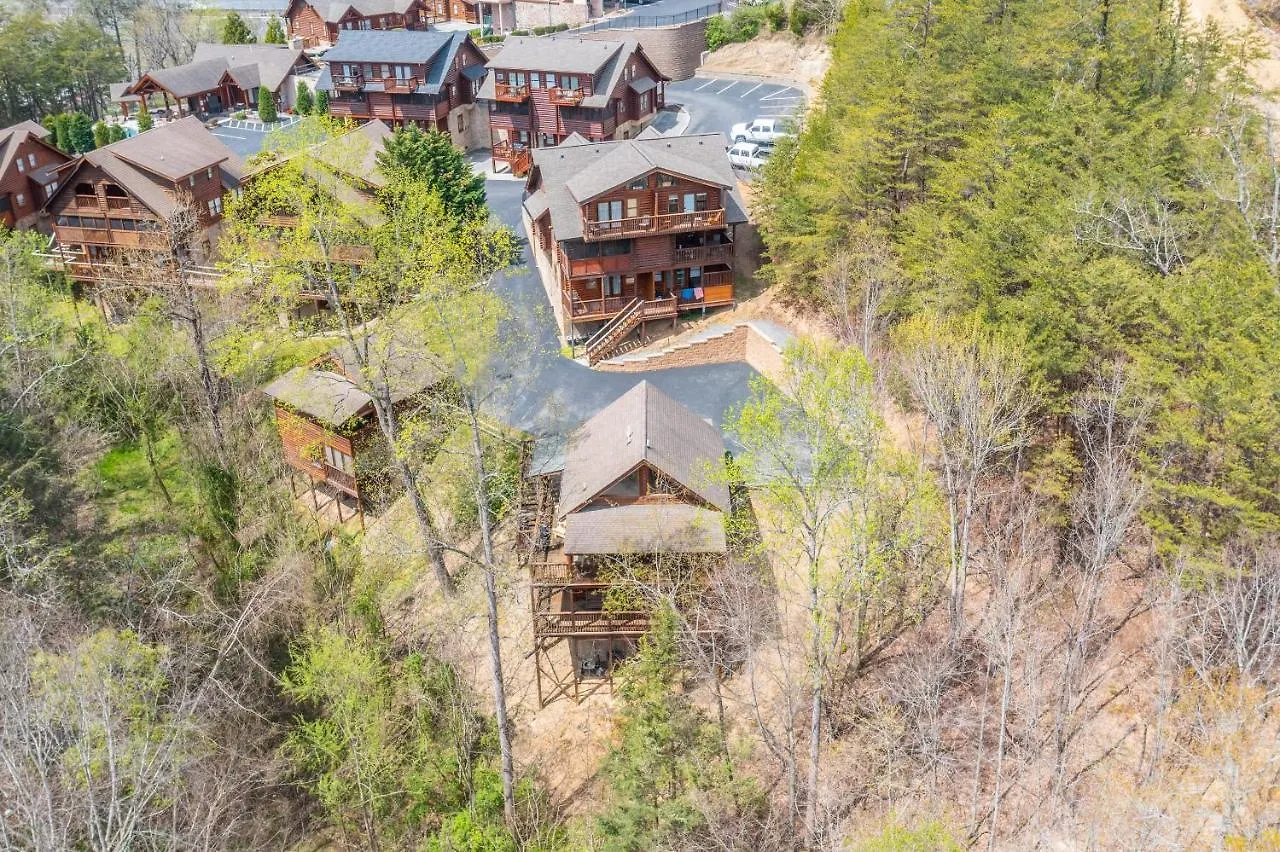 Big Bear Woods