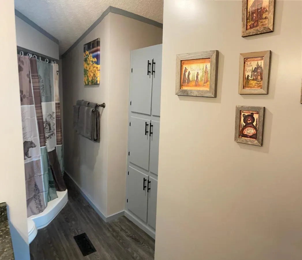 Bear Doodle Holiday home Sevierville