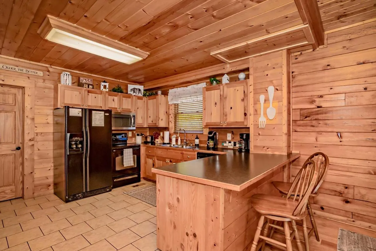 *family Friendly Near Dollywood! 度假居 *