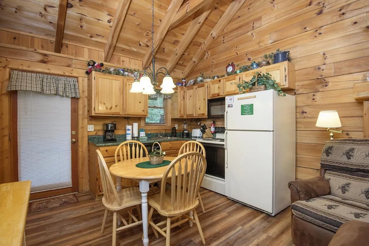 Er65 - Eagles Point - Great Location, Close To The Action! Σπίτι διακοπών Pigeon Forge