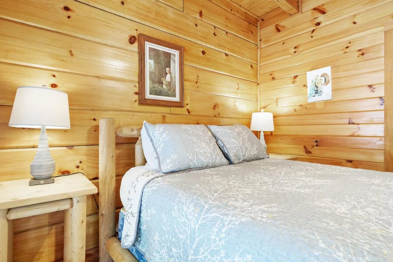 The Honey Pot, Hot Tub, Pool, 1089 Free Tickets Each Paid Day, Dollywood And *