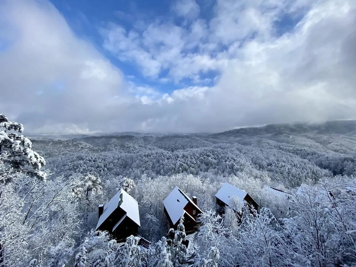 Majestic Mountain View - Great Location! - Convenient To Everything! Holiday home Pigeon Forge