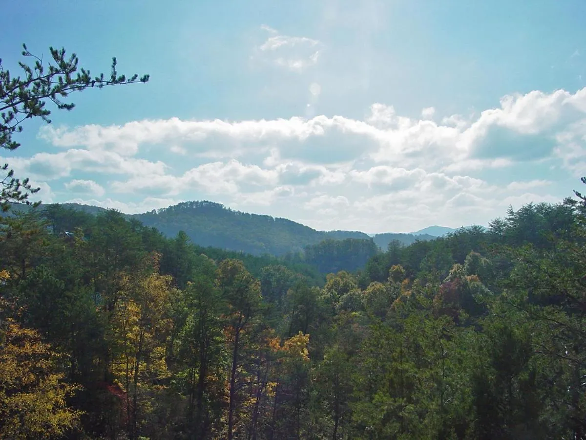 Ern849- Sweet Escape - Great Location! Close To Action! Pigeon Forge