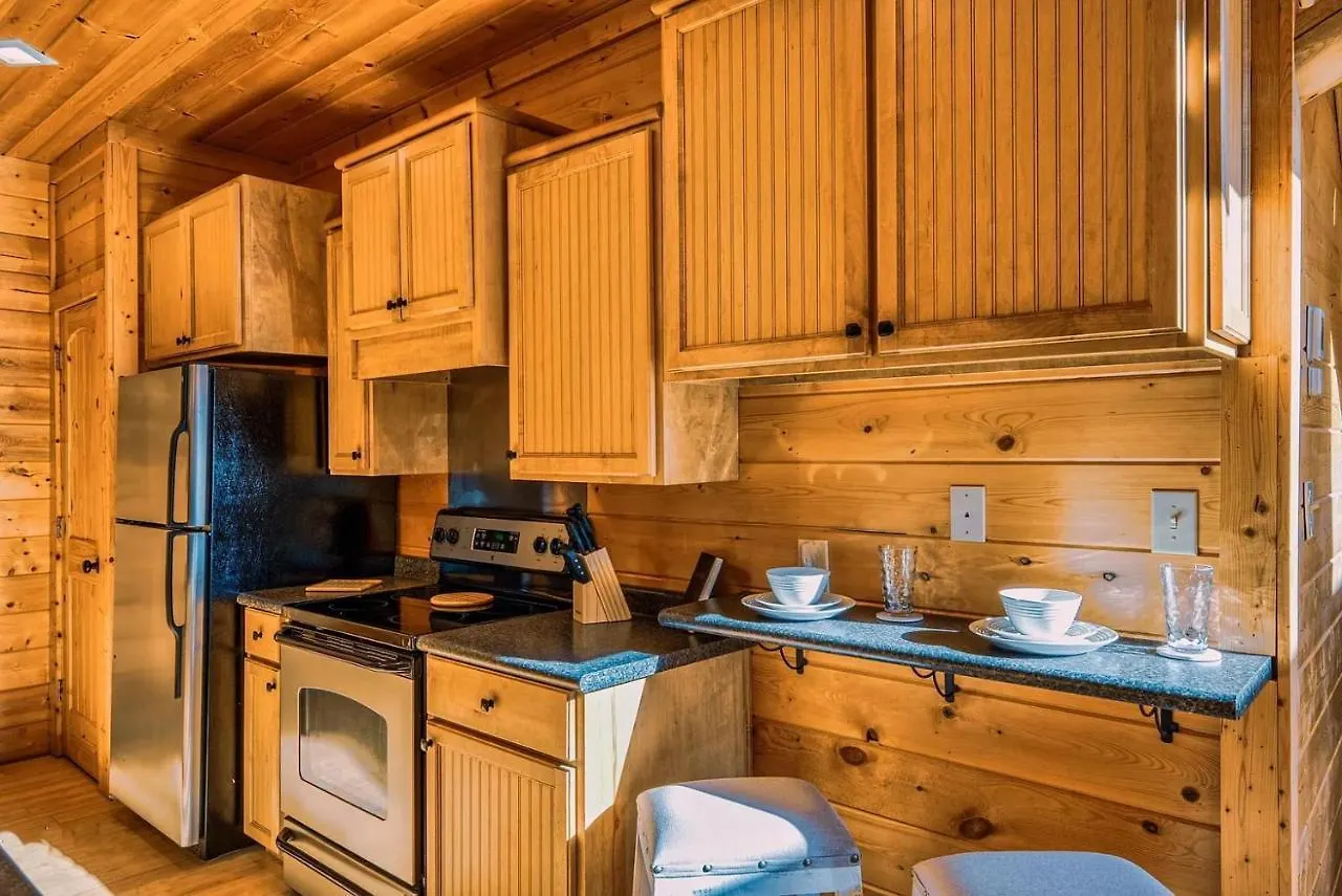 Σπίτι διακοπών Pine Haven Hollow, Hot Tub, Game Room, Wifi, 1089 Free Tickets Each Paid Day, Dollywood And *