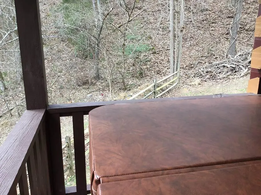 Holiday home Dollywood! Brand New Dancing Bear 3-bear Tracks *