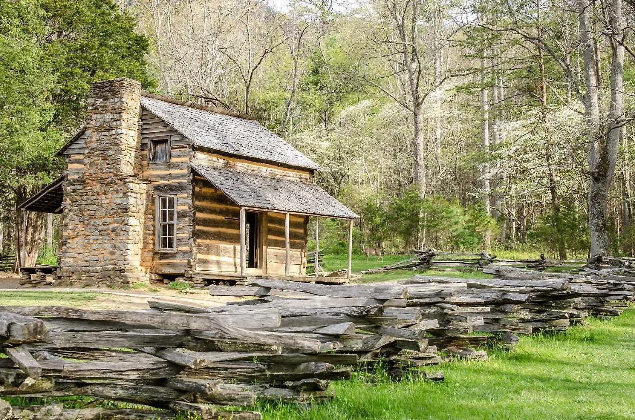 Woodland Escape Holiday home *