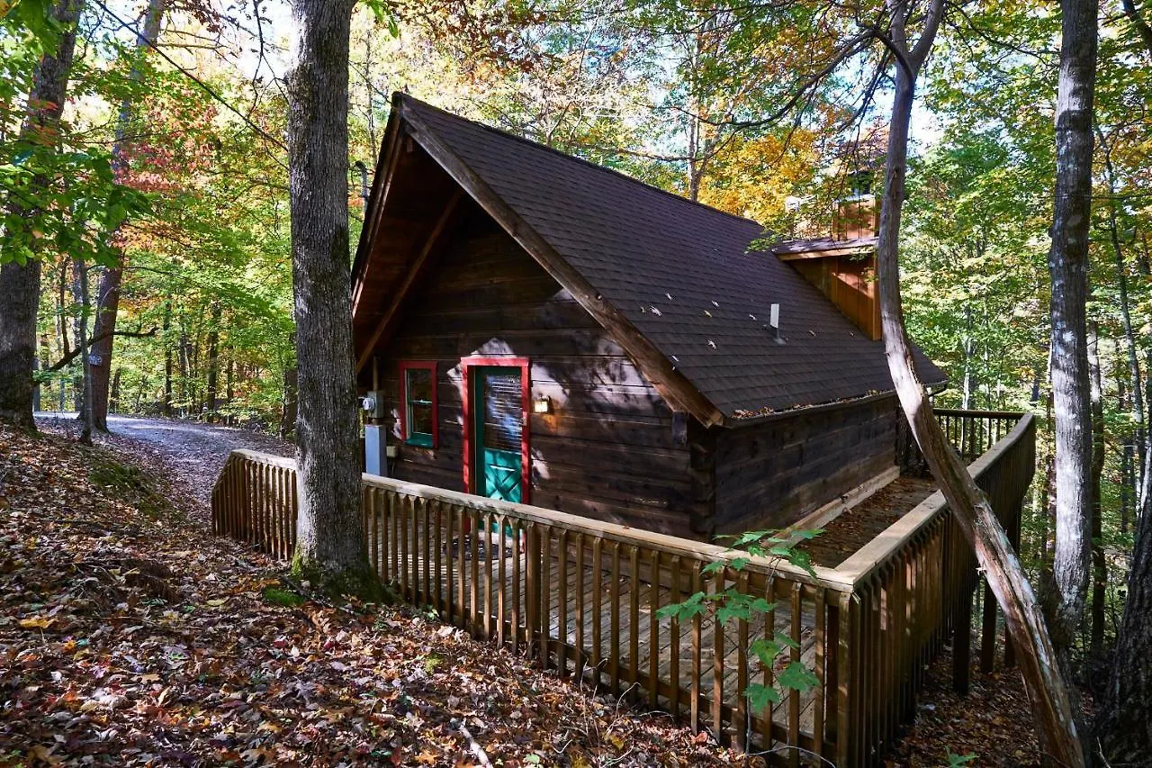 A In The Woods