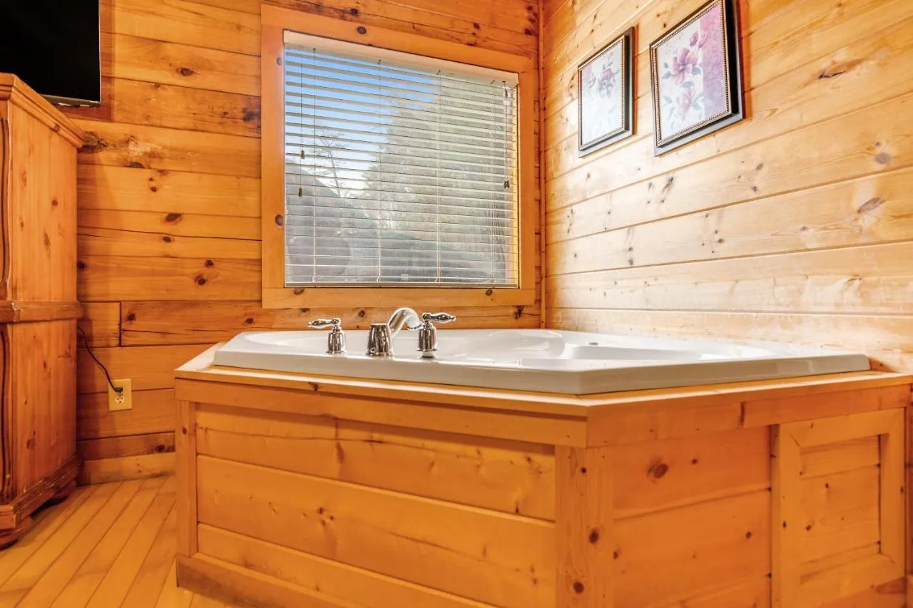 Feriehus A Barefoot Landing Pigeon Forge