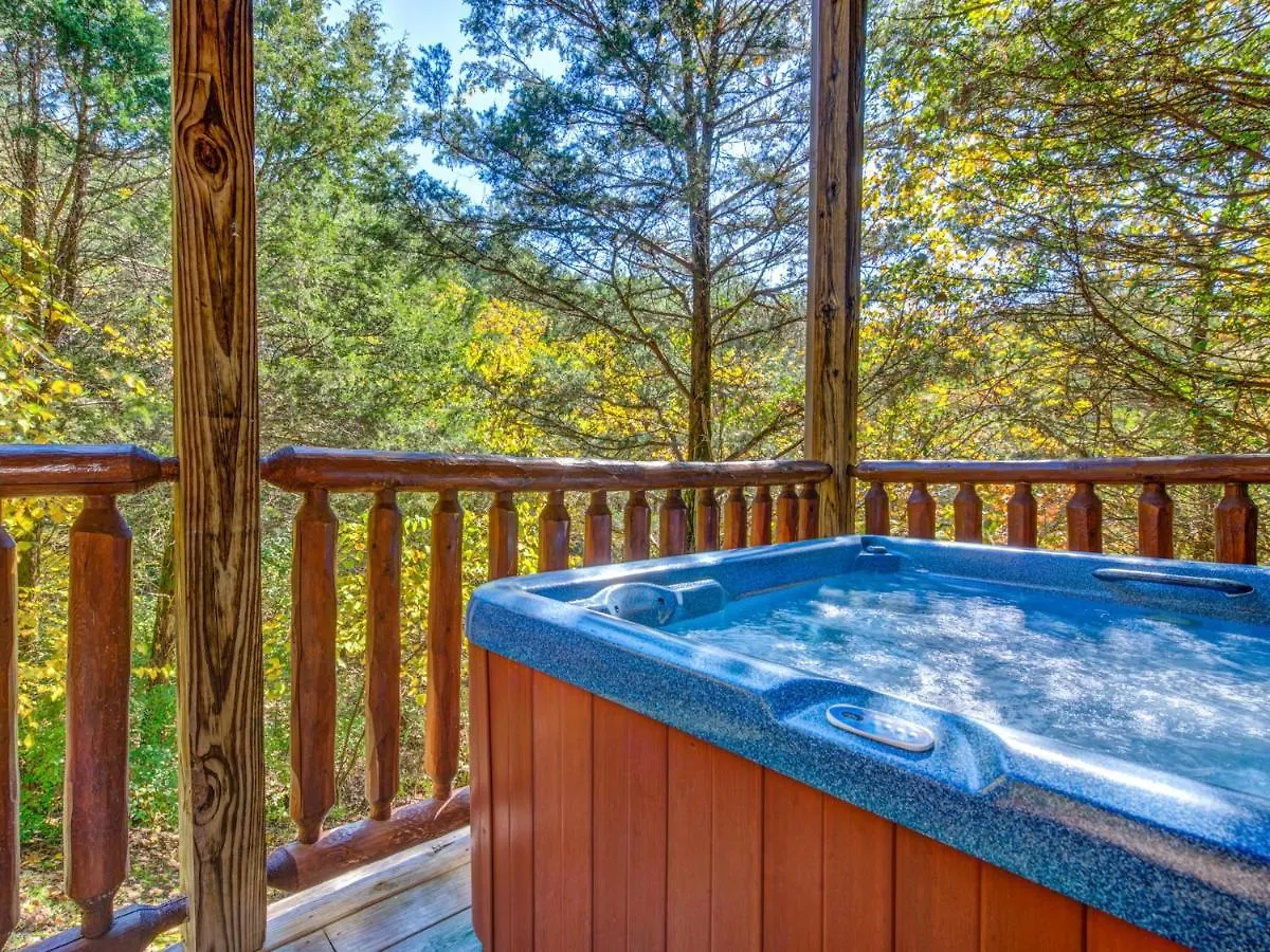 Moonlight Theater Lodge, 3 Bedrooms, Hot Tub, Pool, Sleeps 14 펜션 비둘기 포지
