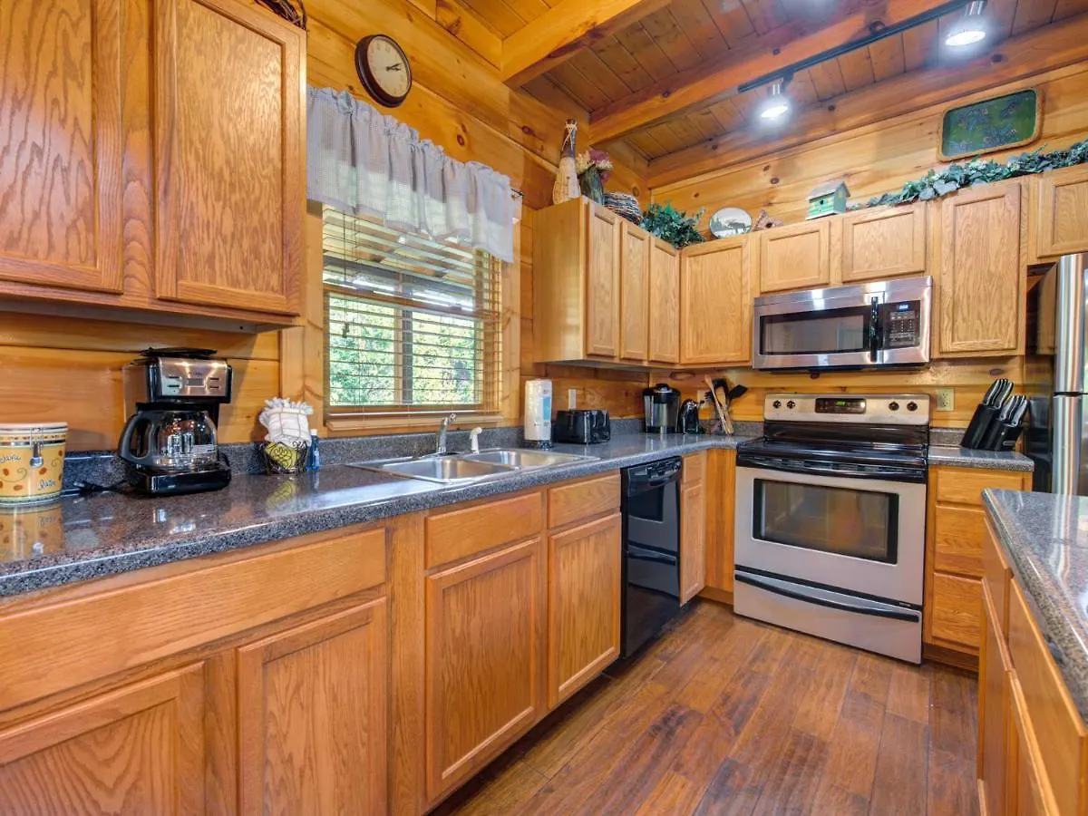 펜션 Moonlight Theater Lodge, 3 Bedrooms, Hot Tub, Pool, Sleeps 14 *
