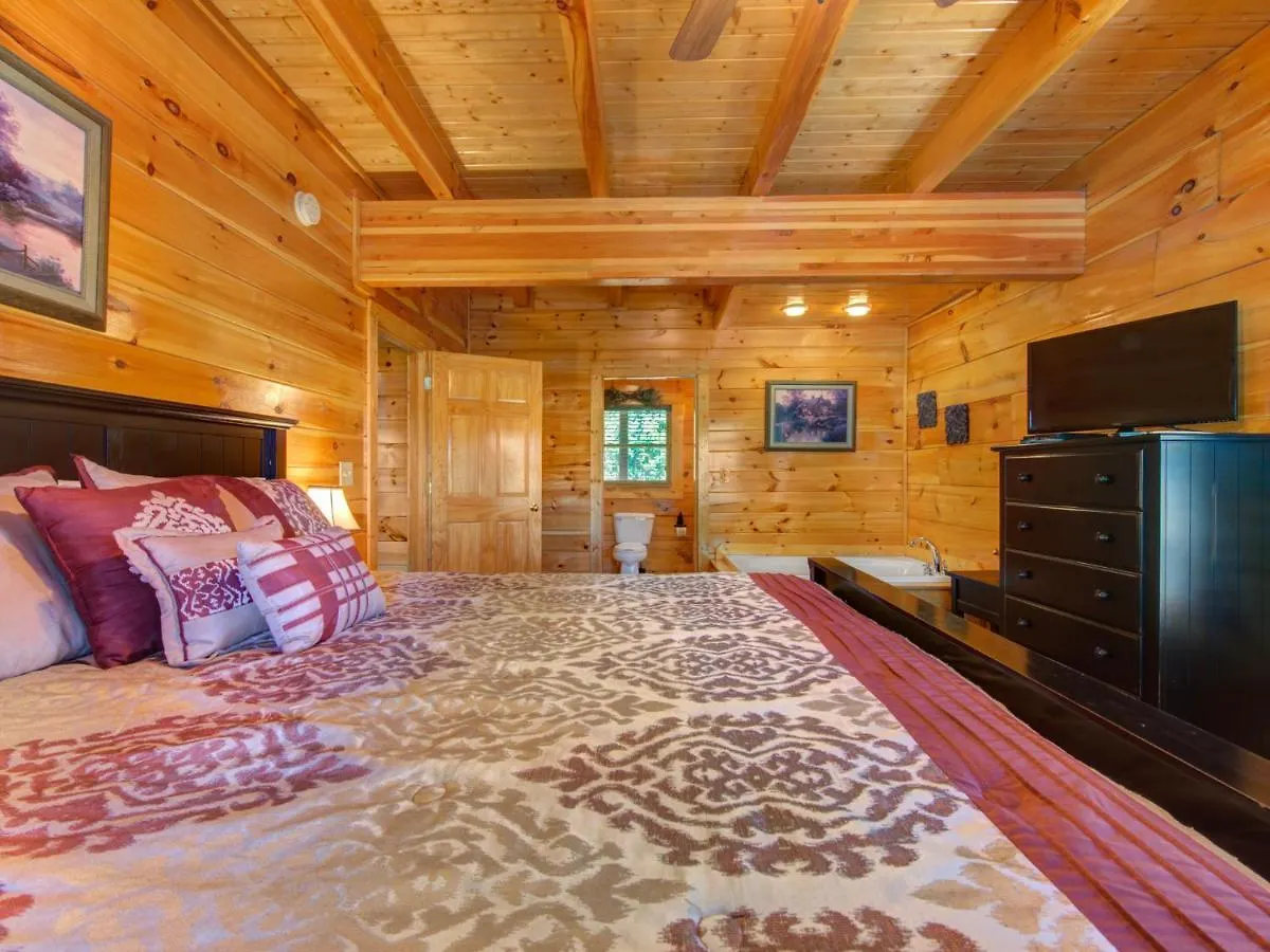 Moonlight Theater Lodge, 3 Bedrooms, Hot Tub, Pool, Sleeps 14 펜션