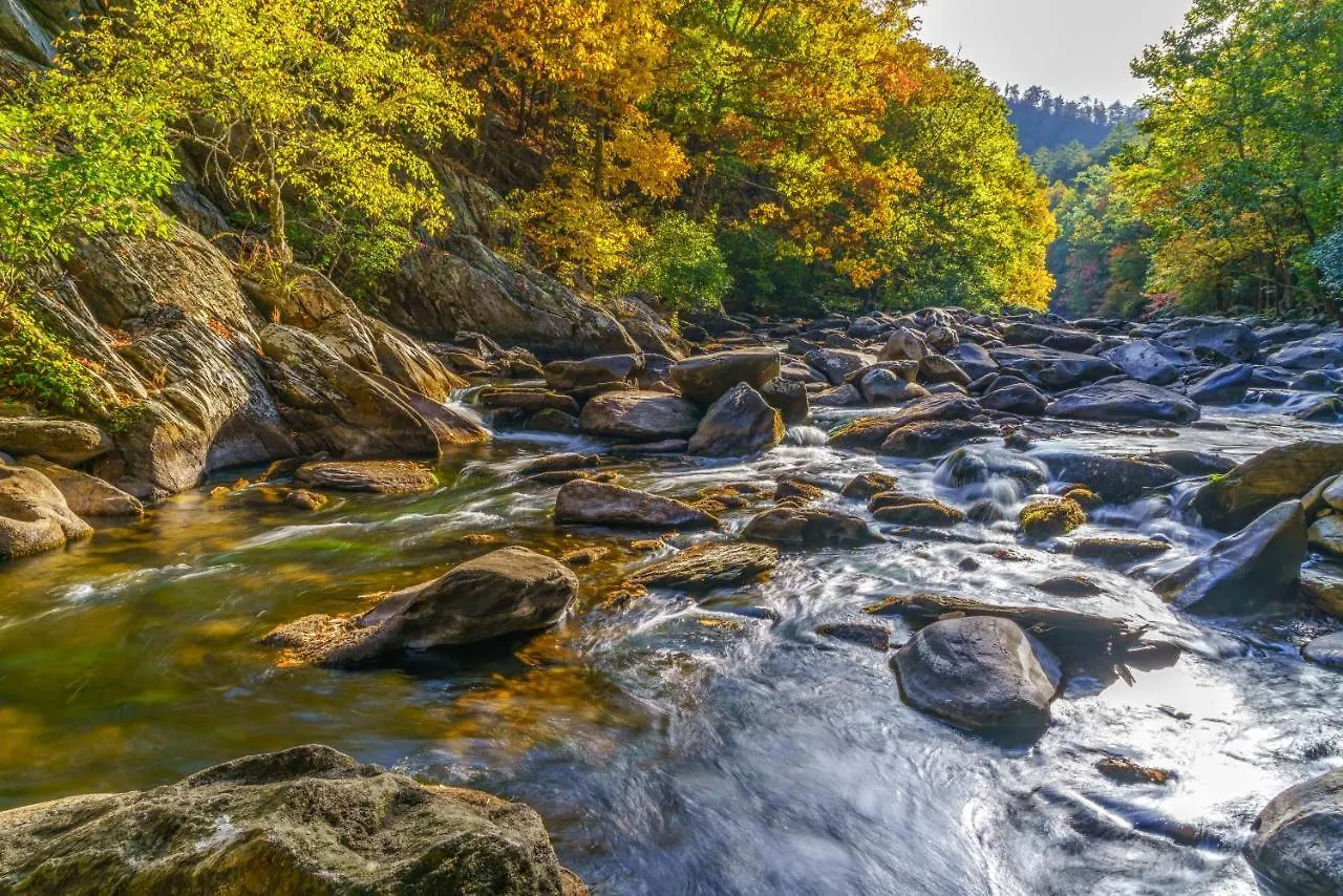Vacation Destination Whispering Pines 444 Apartment Pigeon Forge