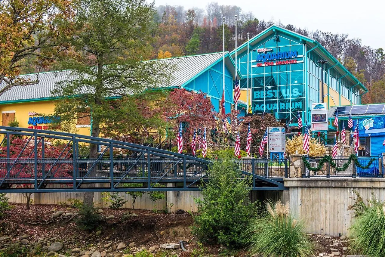 Woodland Escape Holiday home Pigeon Forge