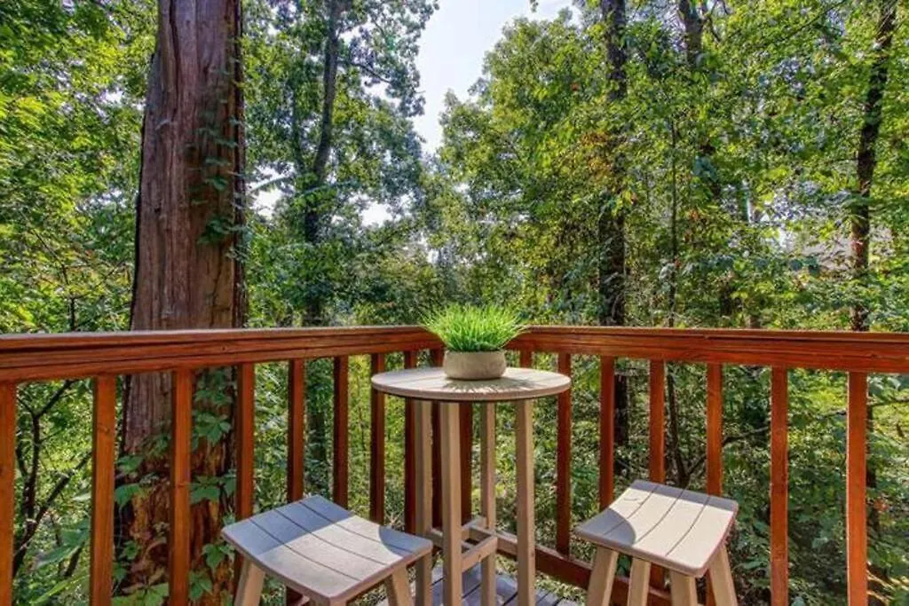 Vakantiehuis The Family Stone Luxe Sleeps 12 Hot Tub Dogfriendly Dollywood Pigeon Forge
