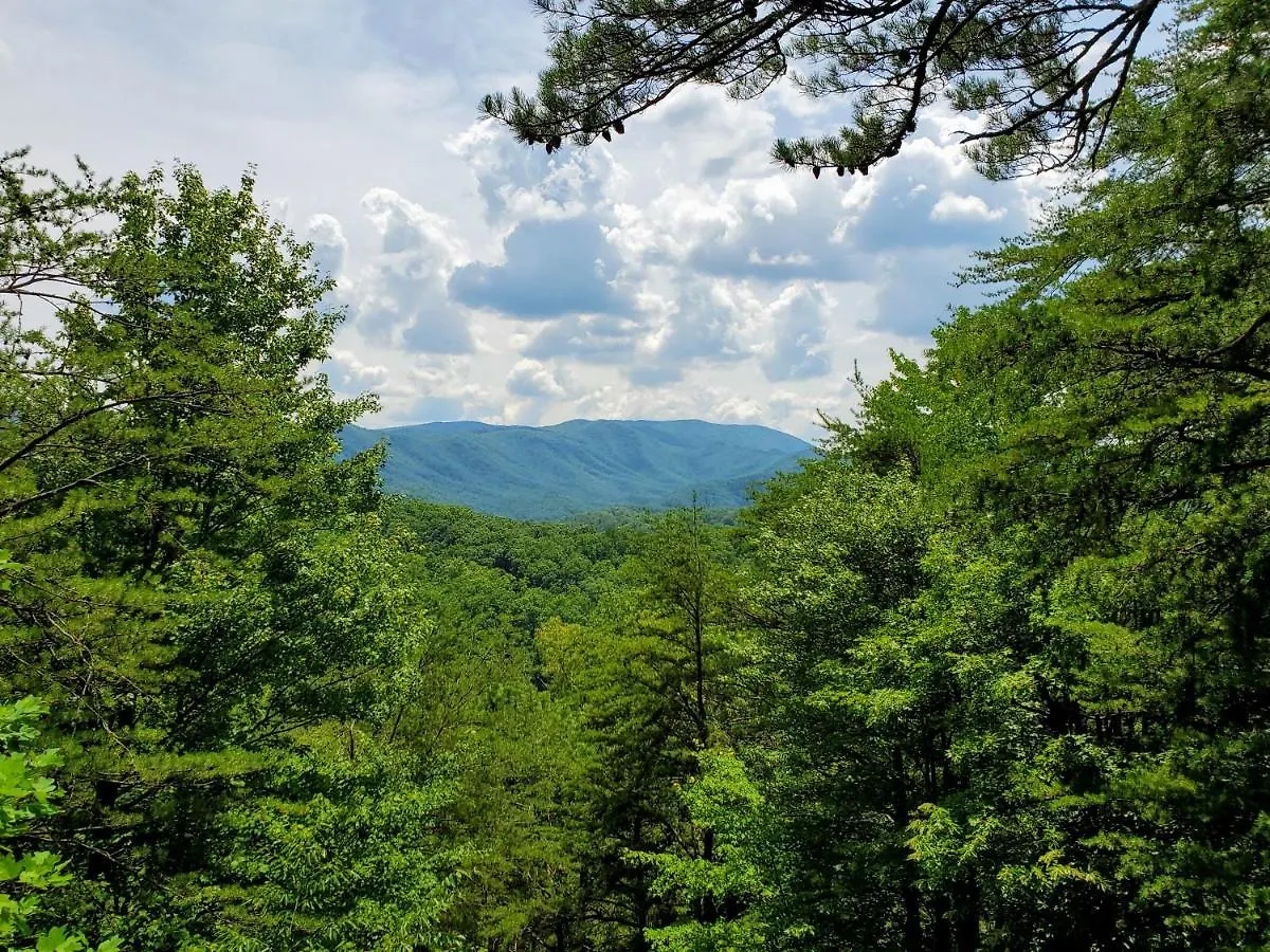 Hillbilly Hilton-pet Friendly-sleeps 4-free Tickets-mountain View Шале *