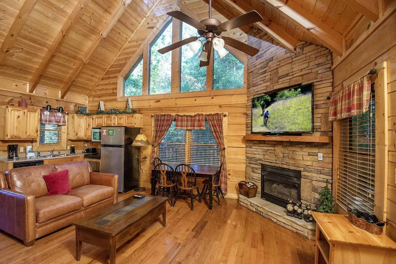 Er244 - Black Hawk Hideaway Σπίτι διακοπών Pigeon Forge