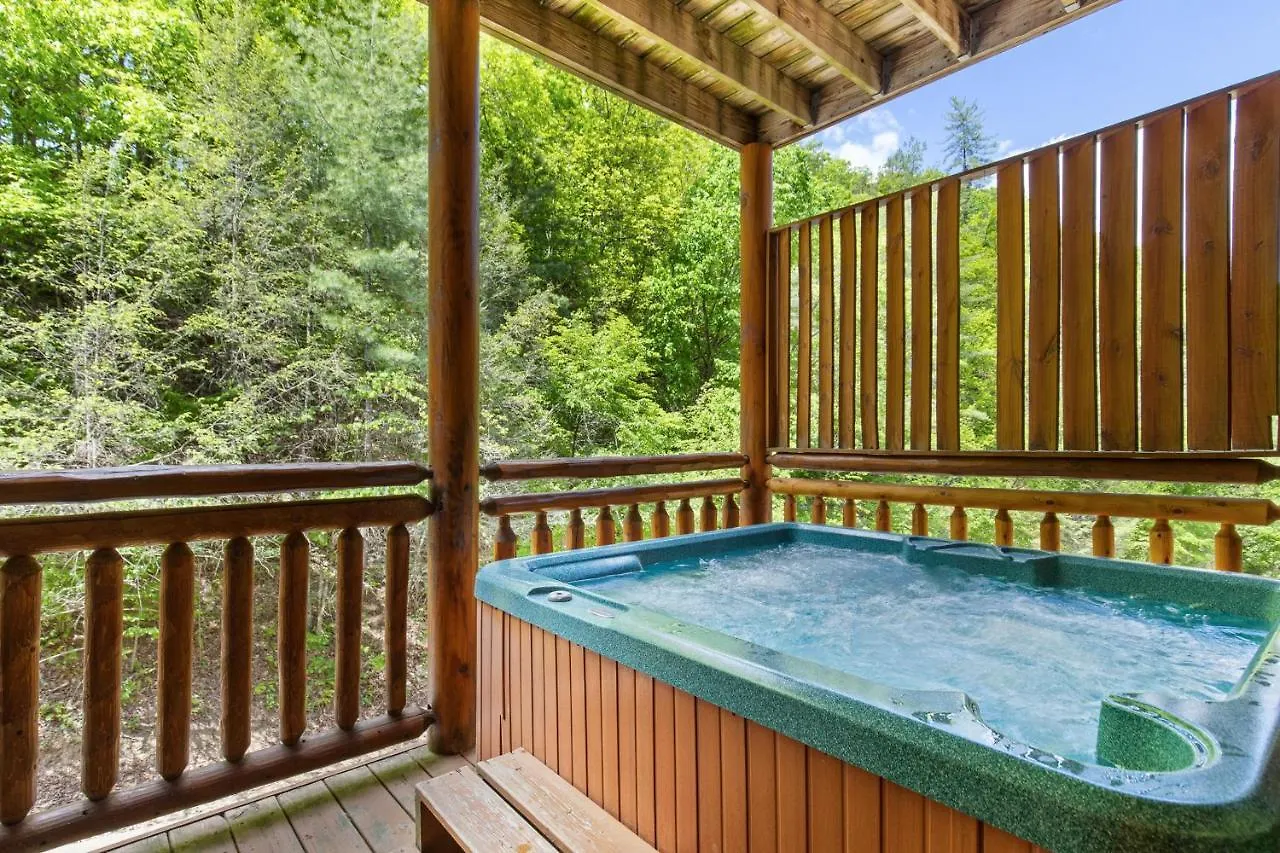 Mountain Cinema Holiday home Pigeon Forge