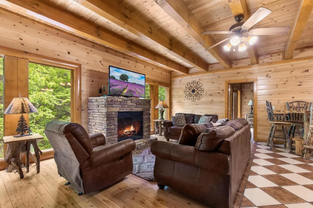 Mountain Cinema Holiday home Pigeon Forge