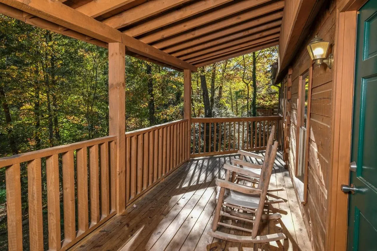 A Mountain Surprise Pigeon Forge