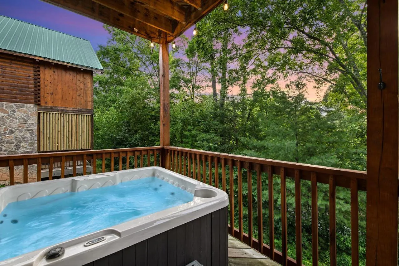 Blackberry Bijou Σπίτι διακοπών Pigeon Forge