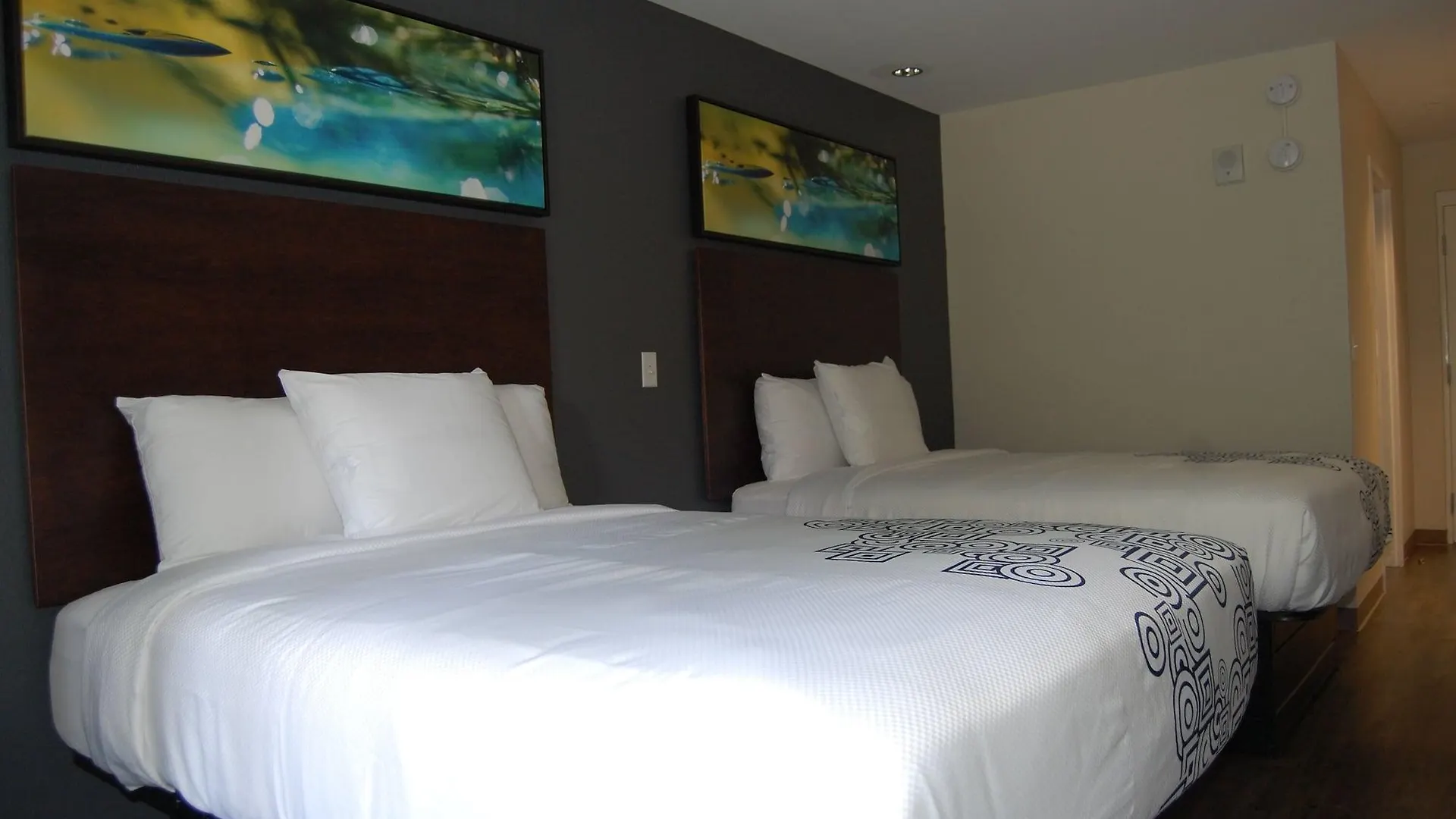 Vacation 3*