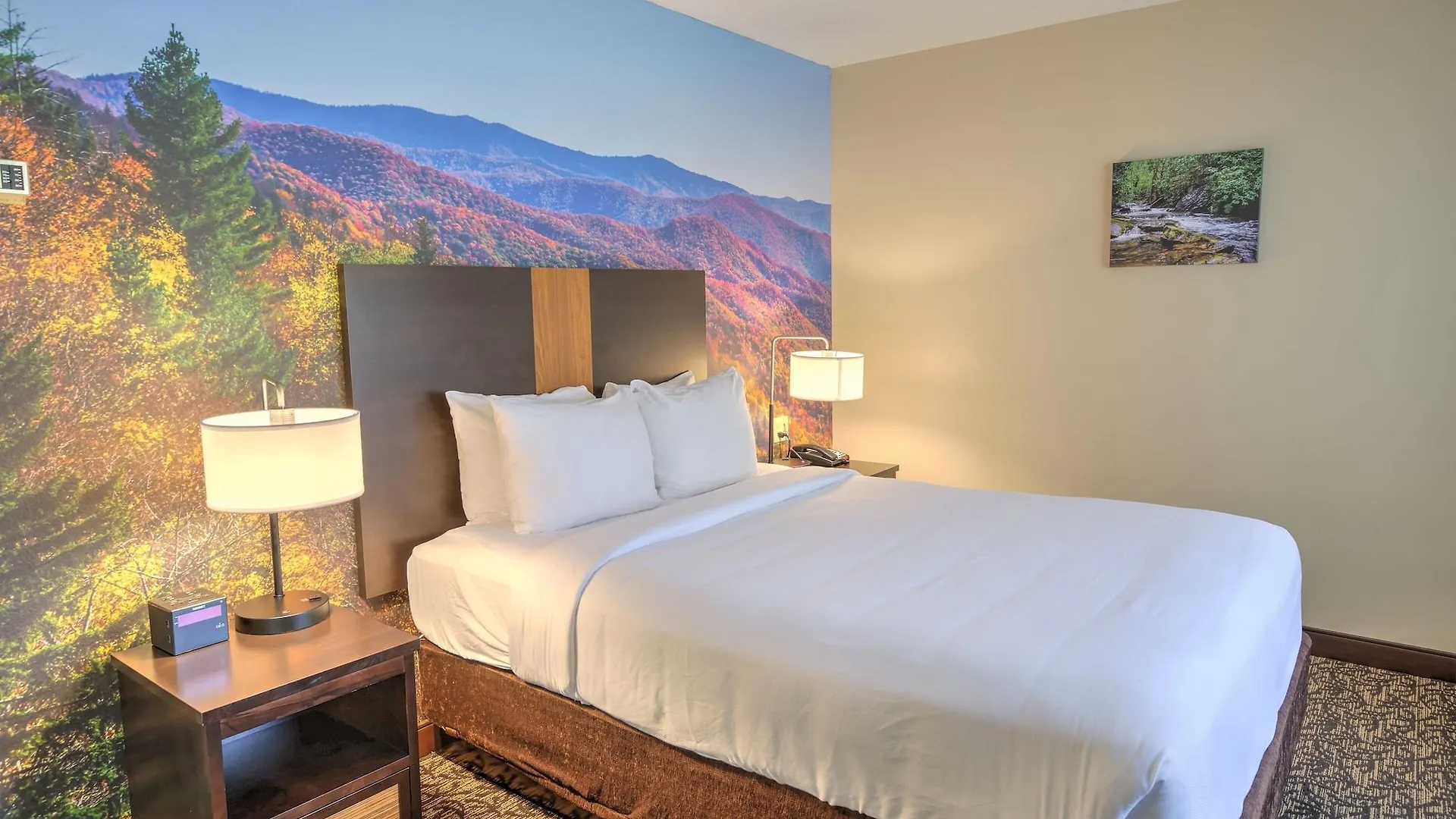 Leconte & Convention Center, Ascend Collection Pigeon Forge