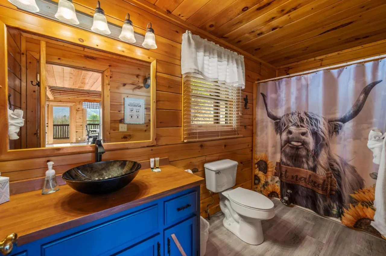 Million Dollar View - Games Table & Movie Theater! Holiday home Pigeon Forge