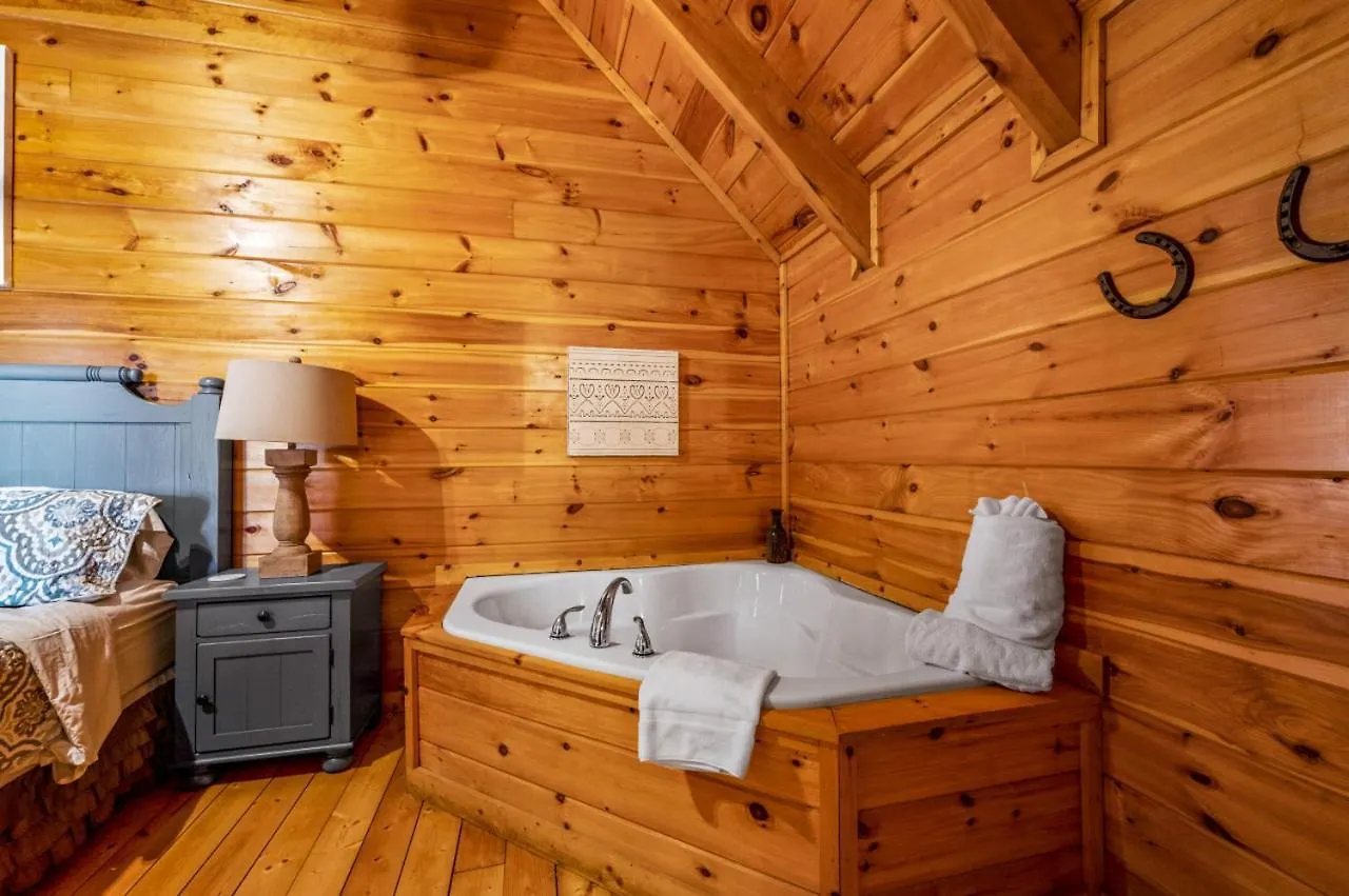 Million Dollar View - Games Table & Movie Theater! Holiday home Pigeon Forge