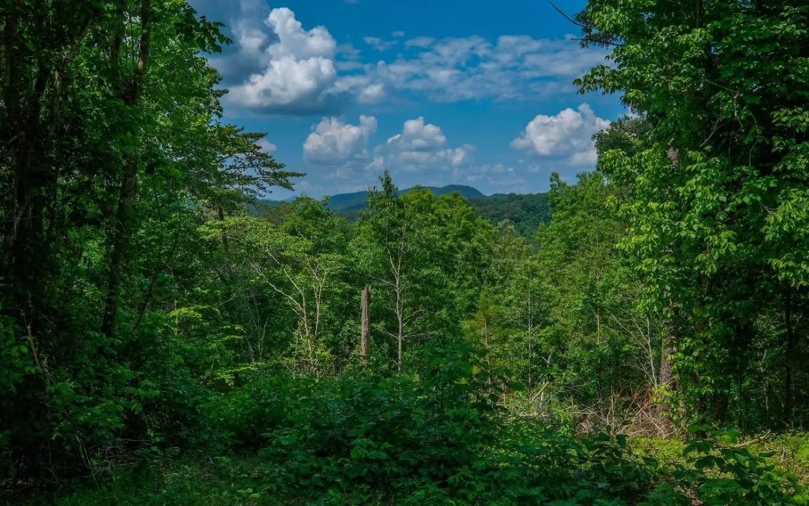 Villa Bear Mountain Splash