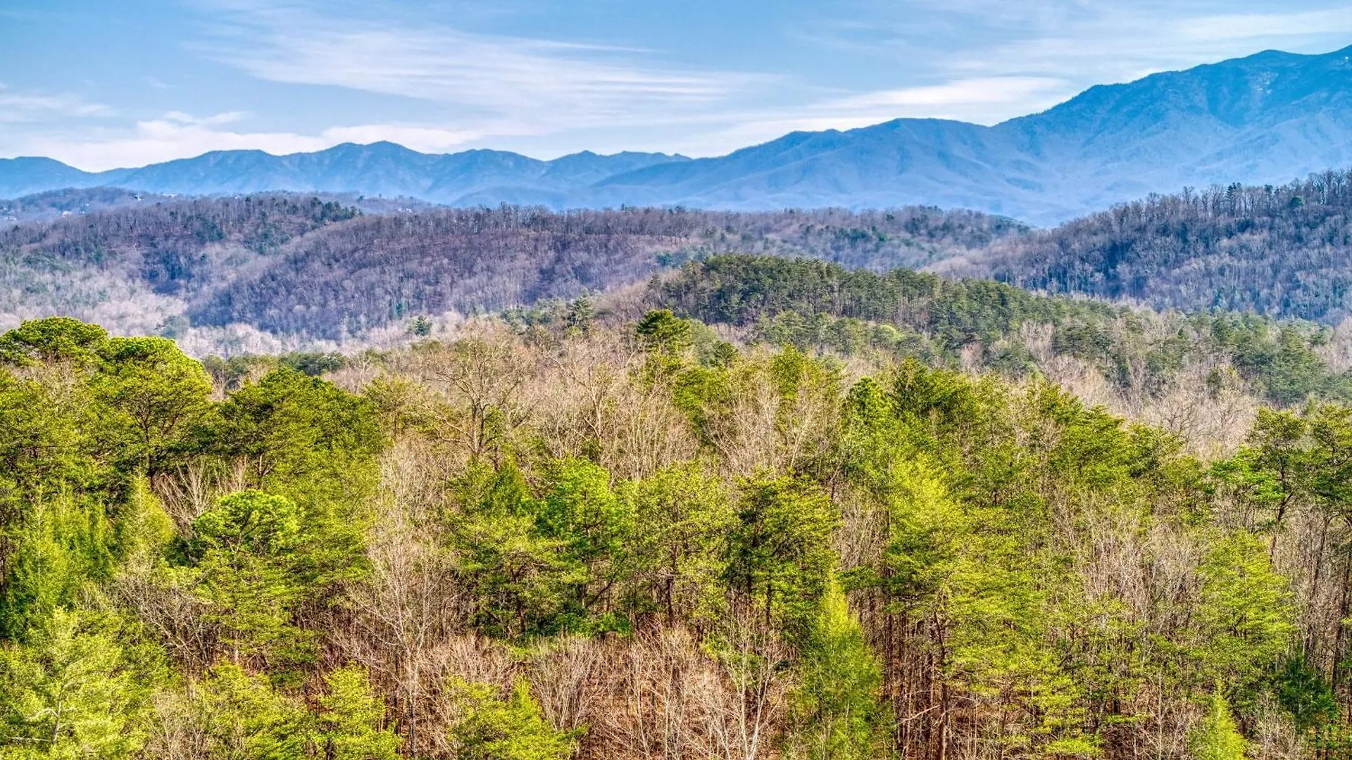 펜션 Bear-e-nice - In Pigeon Forge, Pool, Free Attraction Tickets