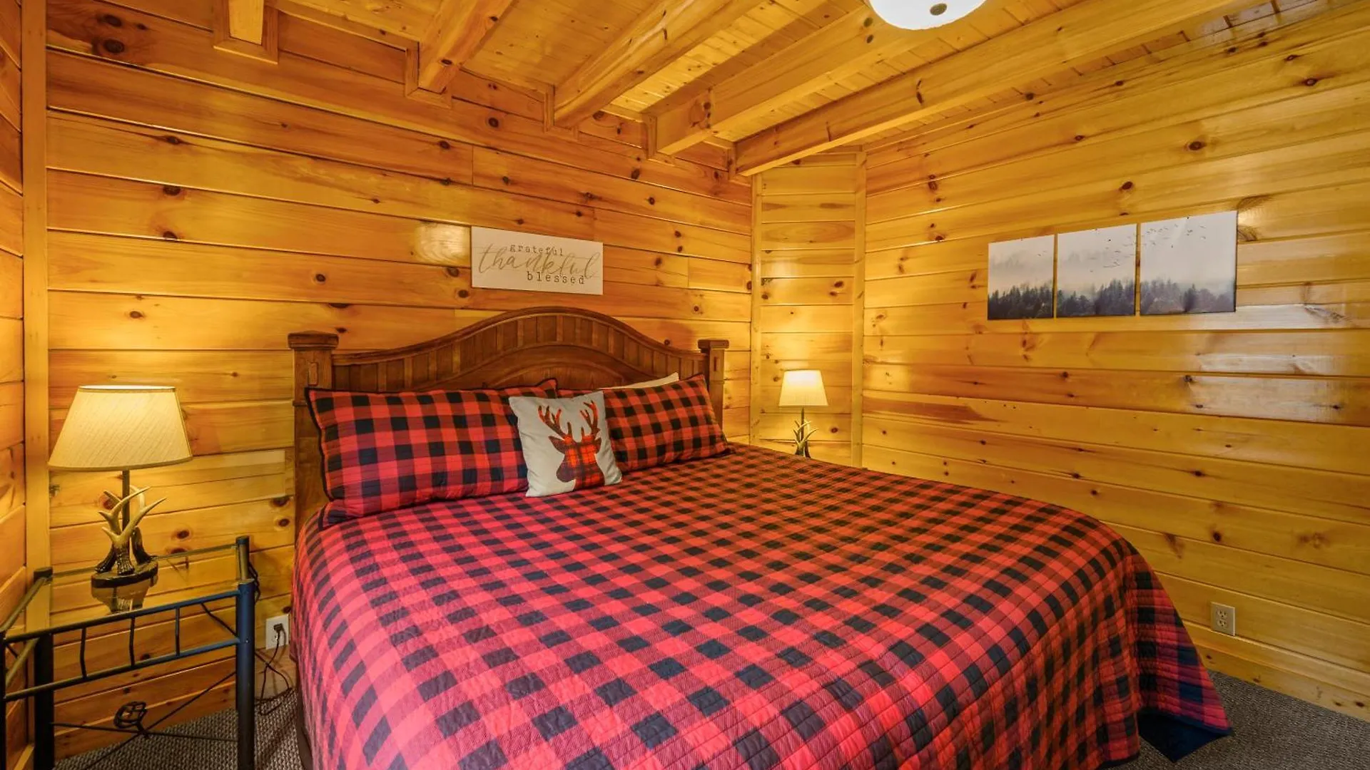 Raccoon Ridge Prázdninový dům Pigeon Forge