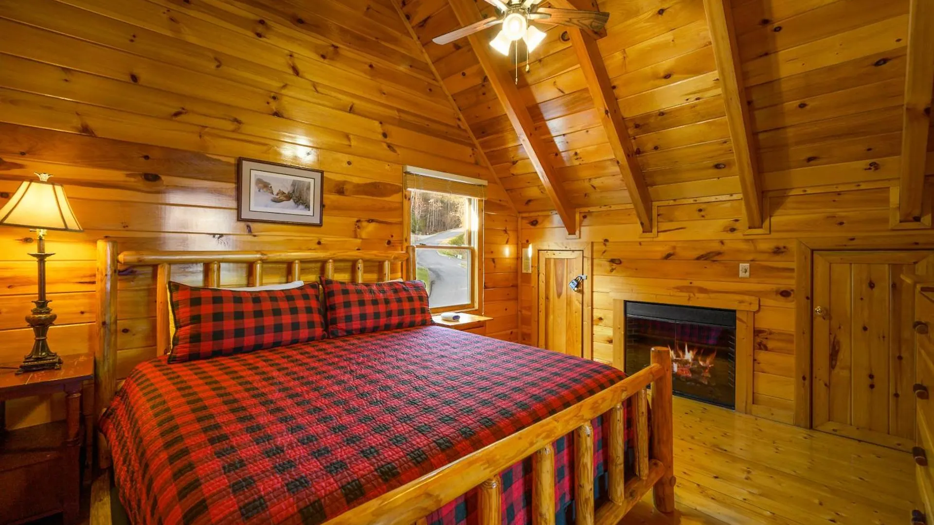 Raccoon Ridge Pigeon Forge