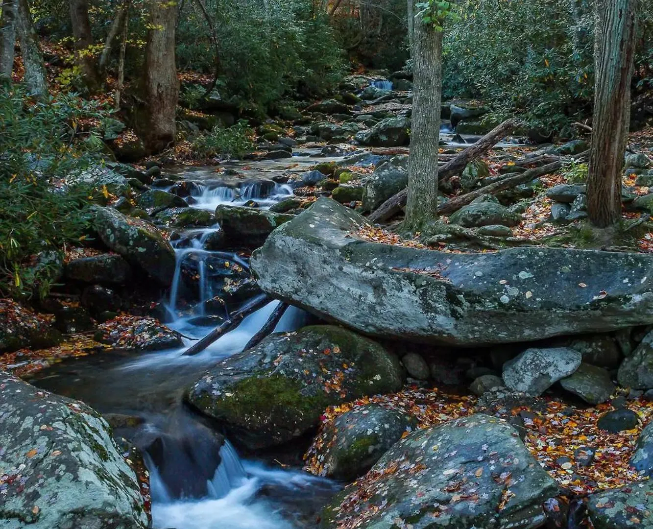 Views 1br15bath Pet-friendly With Hot Tub & Bbq Сasa de vacaciones Pigeon Forge