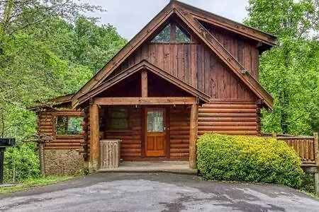 Casa vacanze The Wildflower - Woodsy Mtn Retreat Near Everything