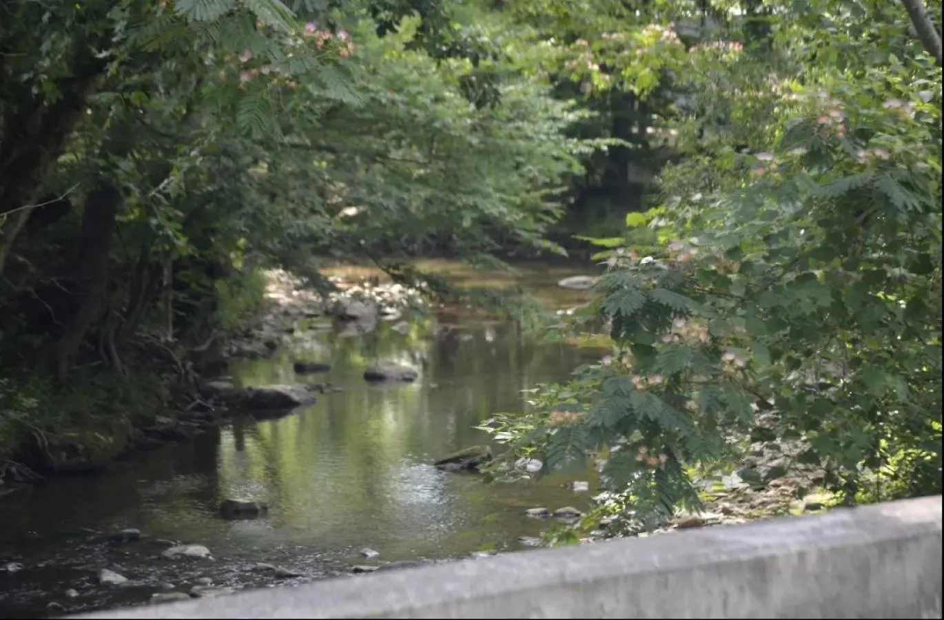 Creekside Cottage*hot Tub*entire Home-pigeon Forge بيت للعطل بيدجن فورج