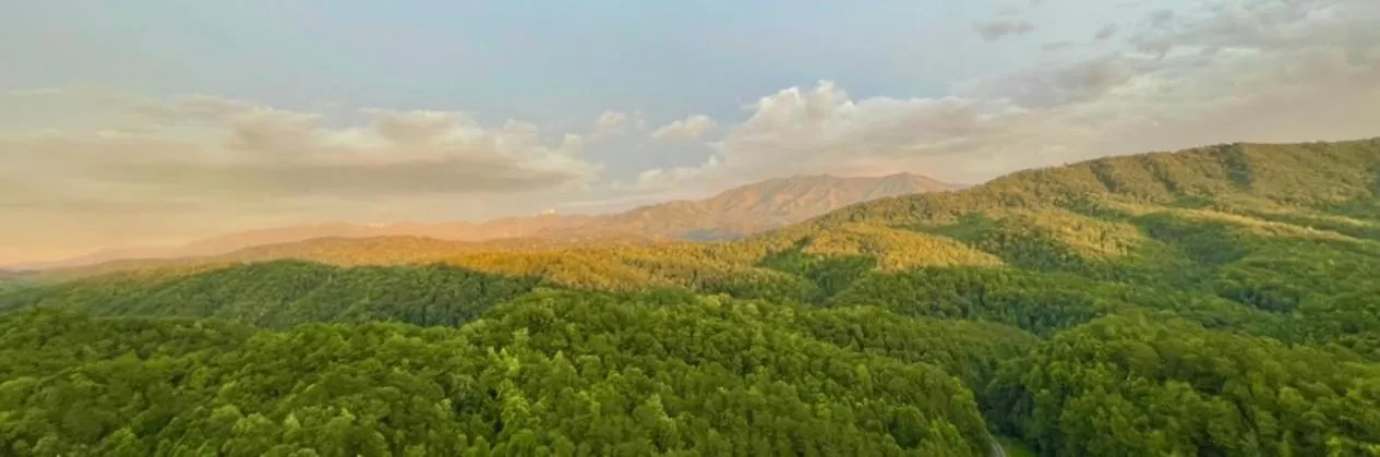 Feriehus Mountain Splash, Private Pool, Theater Room, 1089 Free Tickets Each Paid Day, Dollywood And