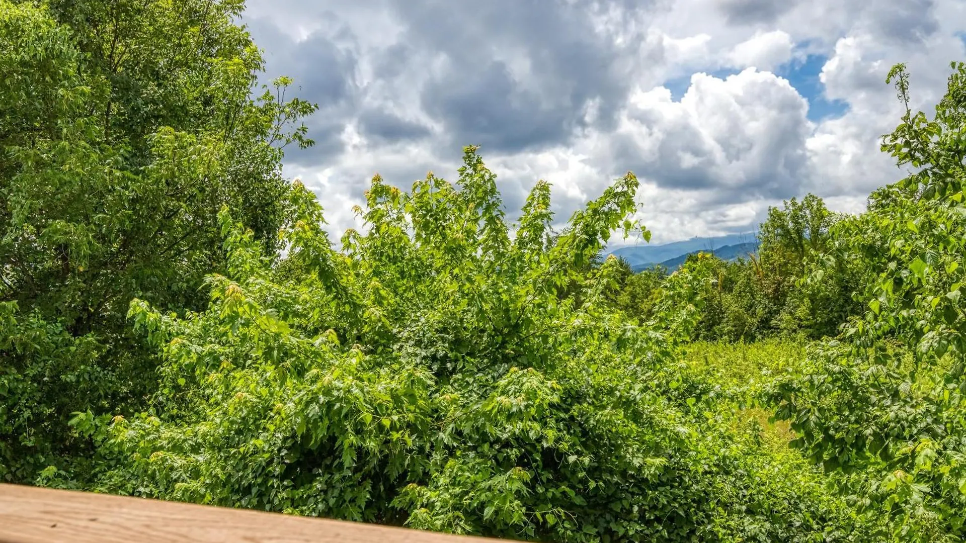 Apple Valley Hideaway, 1089 Of Free Attraction Tickets For Each Paid Day, Dollywood And More! Pigeon Forge