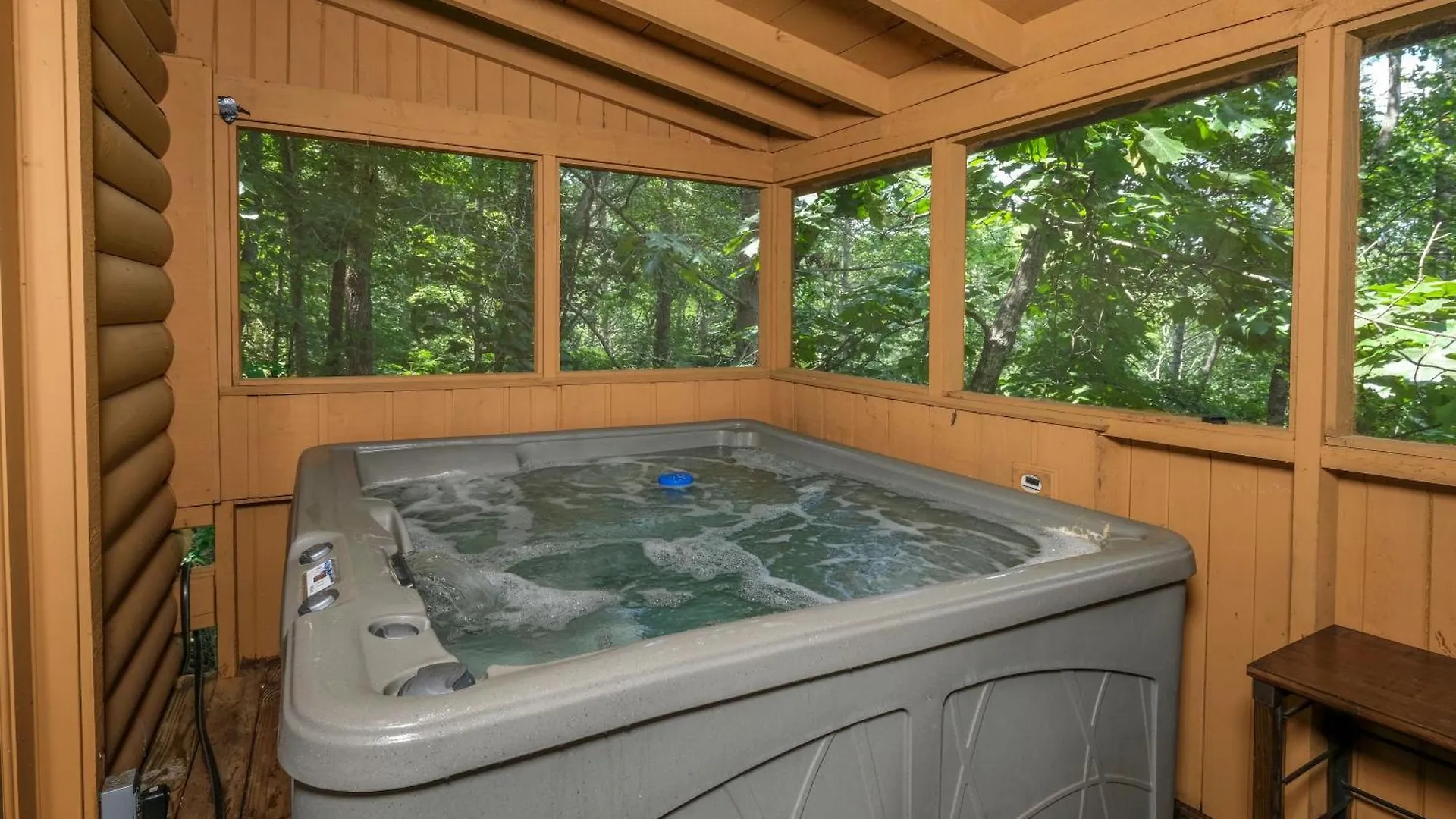The Nest Pigeon Forge