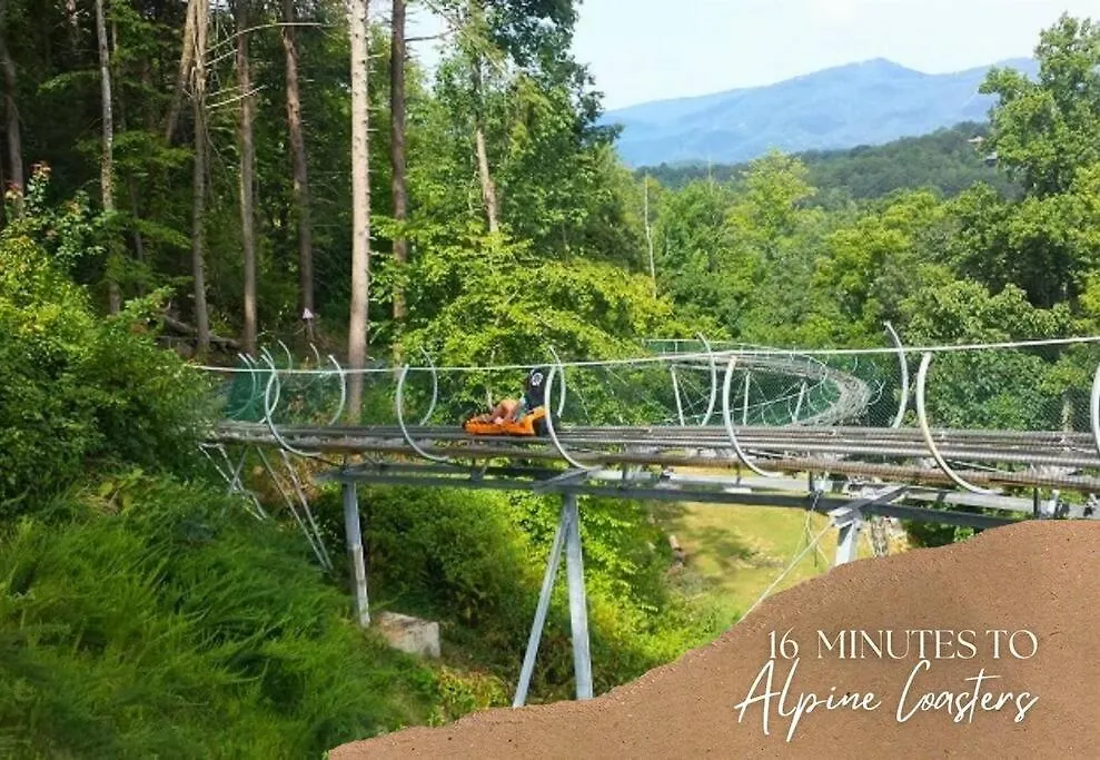 Willow Trace: Family Retreat, Hot Tub, Gaming! 펜션 비둘기 포지